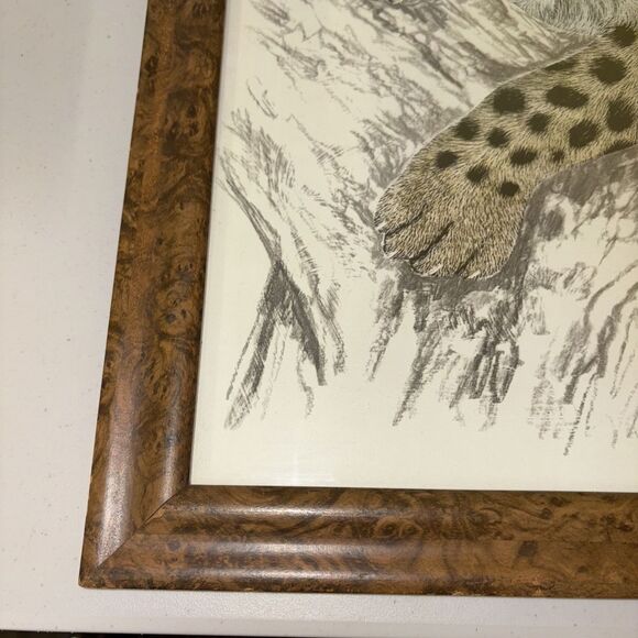 Framed Print Leopard Cub by Samara Seera 18.5 x 22.5” Big Cats African Safari - Picture 2 of 11